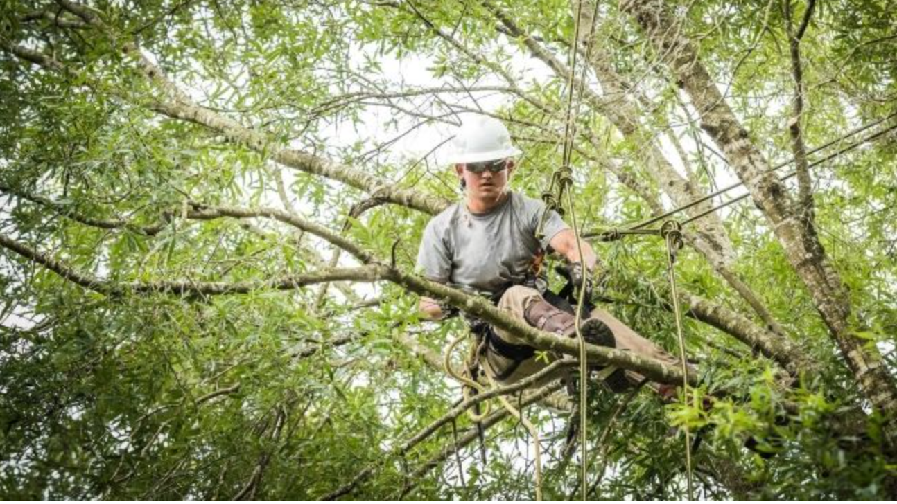 Screen Shot 2021 05 24 At 10 48 55 Pm 60ac73b5dcd15