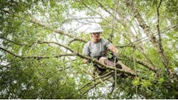 Screen Shot 2021 05 24 At 10 48 55 Pm 60ac73b5dcd15 Screen Shot 2021 05 24 At 10 48 55 Pm 60ac73b5dcd15