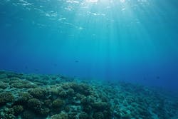 Seadam Dreamstime 60a440c2a8037 Seadam Dreamstime 60a440c2a8037