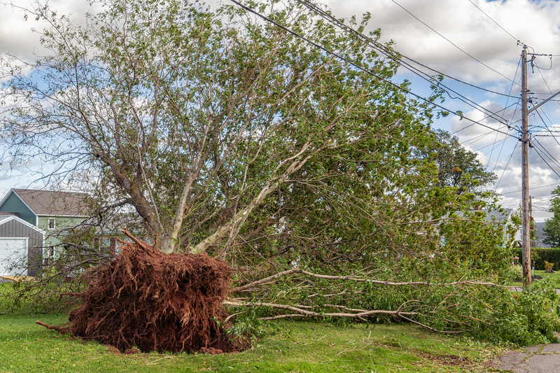 Dreamstime S 158363266 60916d9a307fe