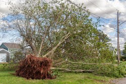 Dreamstime S 158363266 60916d9a307fe Dreamstime S 158363266 60916d9a307fe