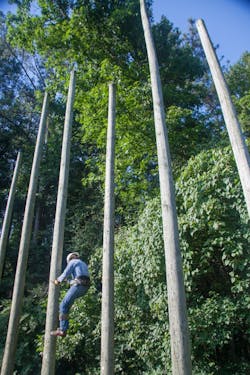 Utility companies treat wood poles with preservatives to protect them against natural enemies, wood-destroying fungi and insects. Oil emulsion treatments also improve climbability for line workers. Utility companies treat wood poles with preservatives to protect them against natural enemies, wood-destroying fungi and insects. Oil emulsion treatments also improve climbability for line workers.