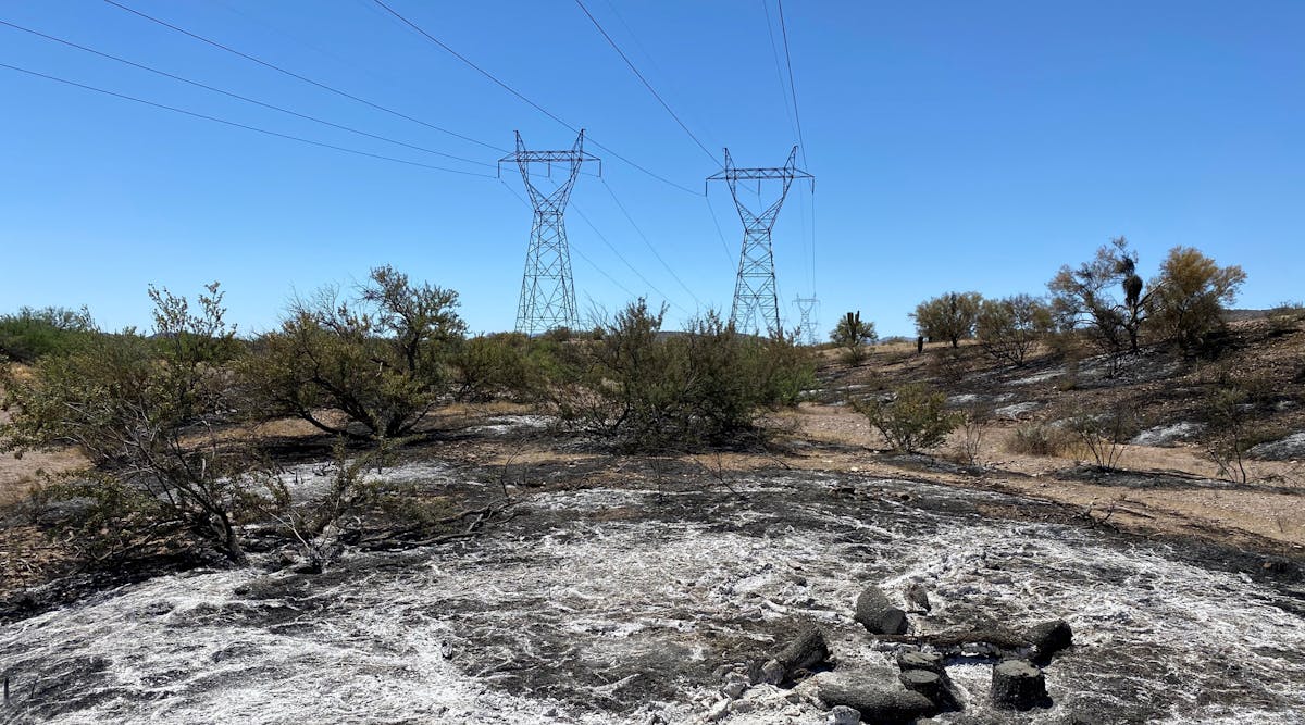 IVM in the form of removing incompatibles allows wildfires to burn under WAPA powerlines in a relatively cool manner, keeping flame lengths and resulting smoke to a minimum.