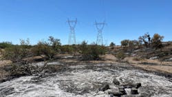 IVM in the form of removing incompatibles allows wildfires to burn under WAPA powerlines in a relatively cool manner, keeping flame lengths and resulting smoke to a minimum. IVM in the form of removing incompatibles allows wildfires to burn under WAPA powerlines in a relatively cool manner, keeping flame lengths and resulting smoke to a minimum.