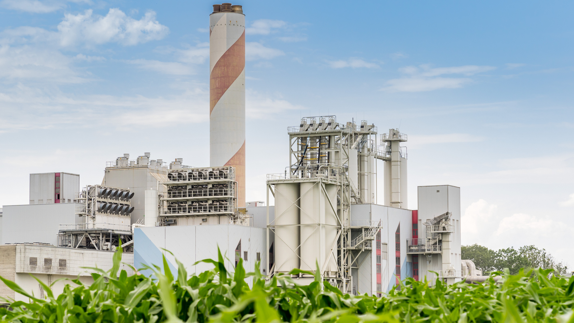 Featured Image 60cc527248908