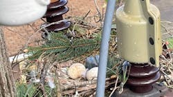 Hawk Nest Web 940x520 60cc47c321686 Hawk Nest Web 940x520 60cc47c321686