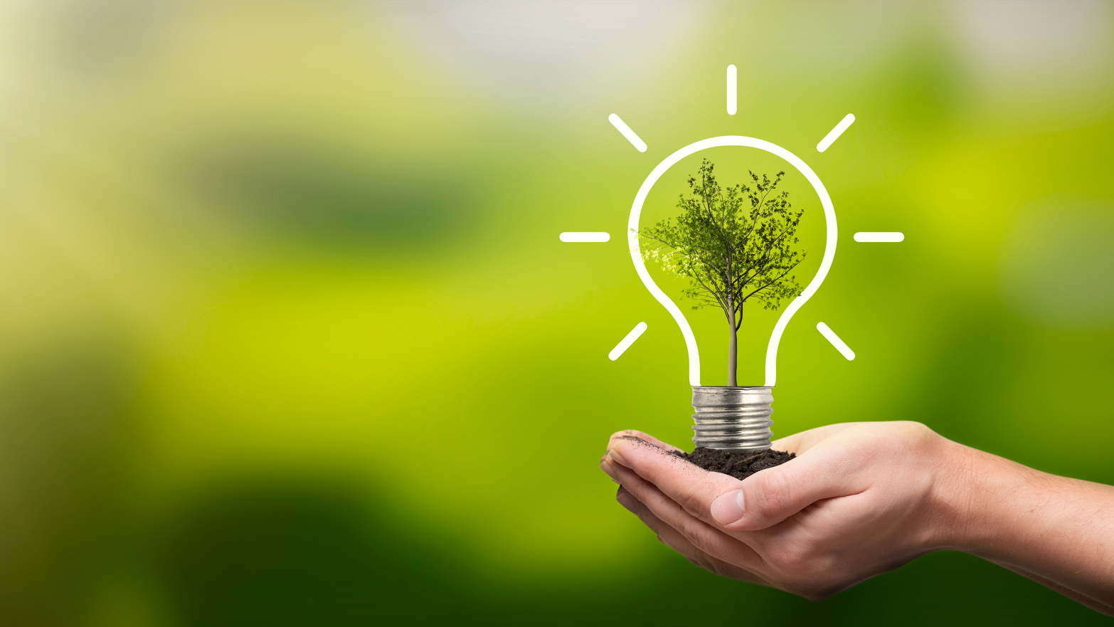 I Stock 1285342239 60d31a3805780