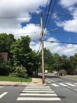 TGRs are ideal for trees in difficult-to-access sites. TGRs are ideal for trees in difficult-to-access sites.