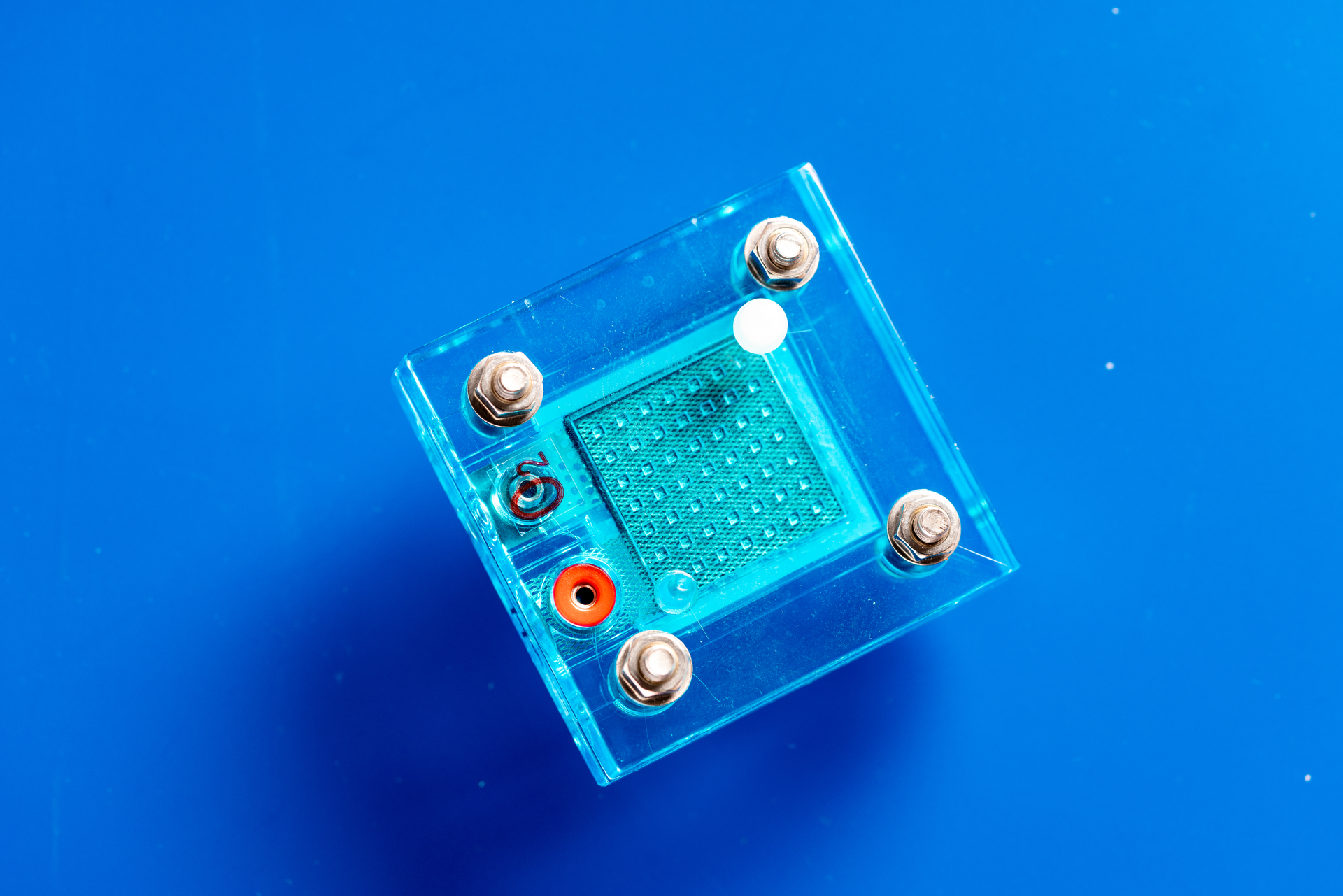 Luchschen Dreamstime 60c1344fa826a