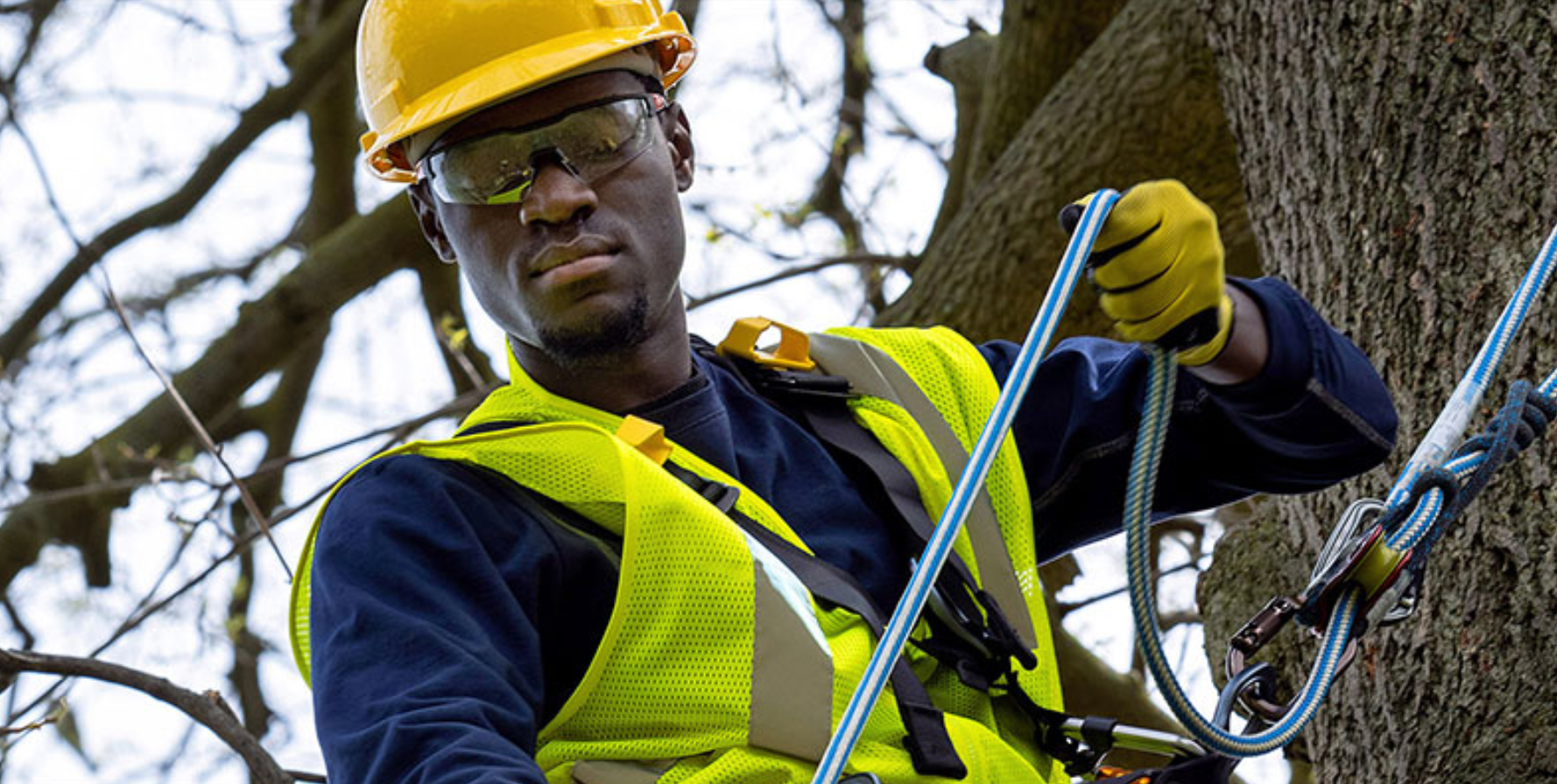 Screen Shot 2021 06 07 At 10 49 16 Am 60be400ecb5c4