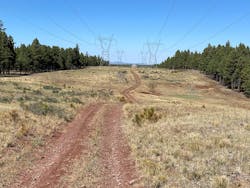 Initial ROW treatment called for easement width mowing. A follow-up herbicide treatment was used to treat incompatible plants growing back into the ROW such as ponderosa pine seedlings. Initial ROW treatment called for easement width mowing. A follow-up herbicide treatment was used to treat incompatible plants growing back into the ROW such as ponderosa pine seedlings.