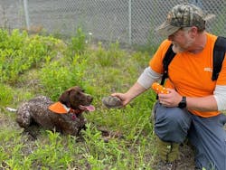 Image005 60b9a5276bc1b Image005 60b9a5276bc1b