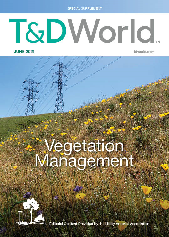 June 2021 Vegetation Management Supplement cover image