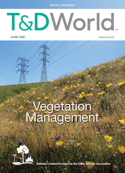 June 2021 Vegetation Management Supplement cover image