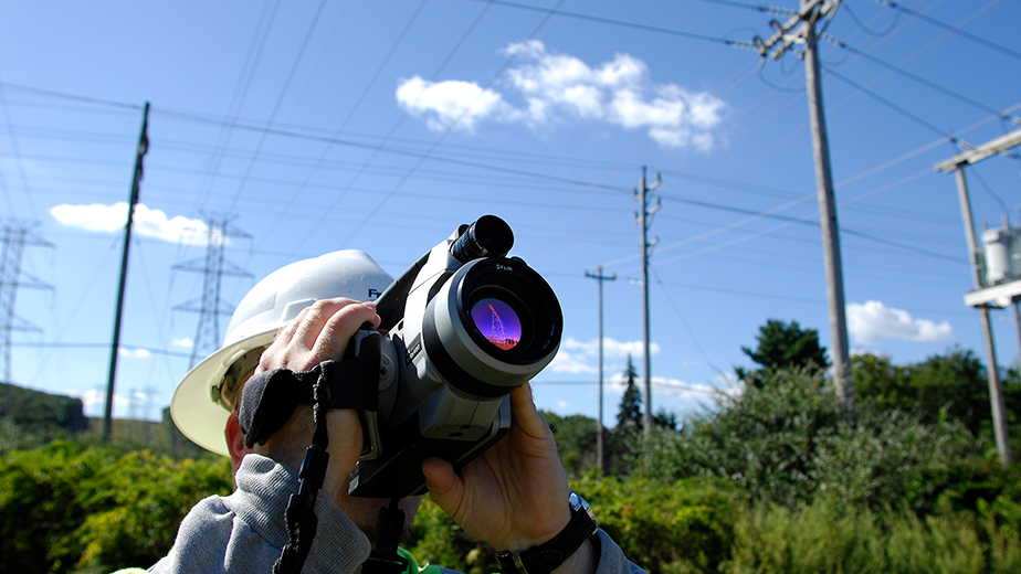 211006722 1674118702795477 2544101271964601240 N 60df05e9c774b