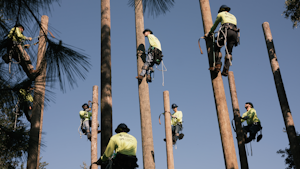 A typical line apprentice takes four to five years in this type training to become a certified line technician. To train the new workers, St. Petersburg College (SPC) opened a new Power Florida Training Center at its Allstate Center location.