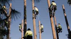 A typical line apprentice takes four to five years in this type training to become a certified line technician. To train the new workers, St. Petersburg College (SPC) opened a new Power Florida Training Center at its Allstate Center location. A typical line apprentice takes four to five years in this type training to become a certified line technician. To train the new workers, St. Petersburg College (SPC) opened a new Power Florida Training Center at its Allstate Center location.