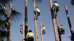 A typical line apprentice takes four to five years in this type training to become a certified line technician. To train the new workers, St. Petersburg College (SPC) opened a new Power Florida Training Center at its Allstate Center location. A typical line apprentice takes four to five years in this type training to become a certified line technician. To train the new workers, St. Petersburg College (SPC) opened a new Power Florida Training Center at its Allstate Center location.