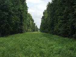 Img 3743 60fef3e1ac0c0 Img 3743 60fef3e1ac0c0