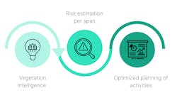 From tree species to optimized planning. From tree species to optimized planning.