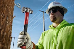 Unnamed 7 60f1a2895b2ff Unnamed 7 60f1a2895b2ff