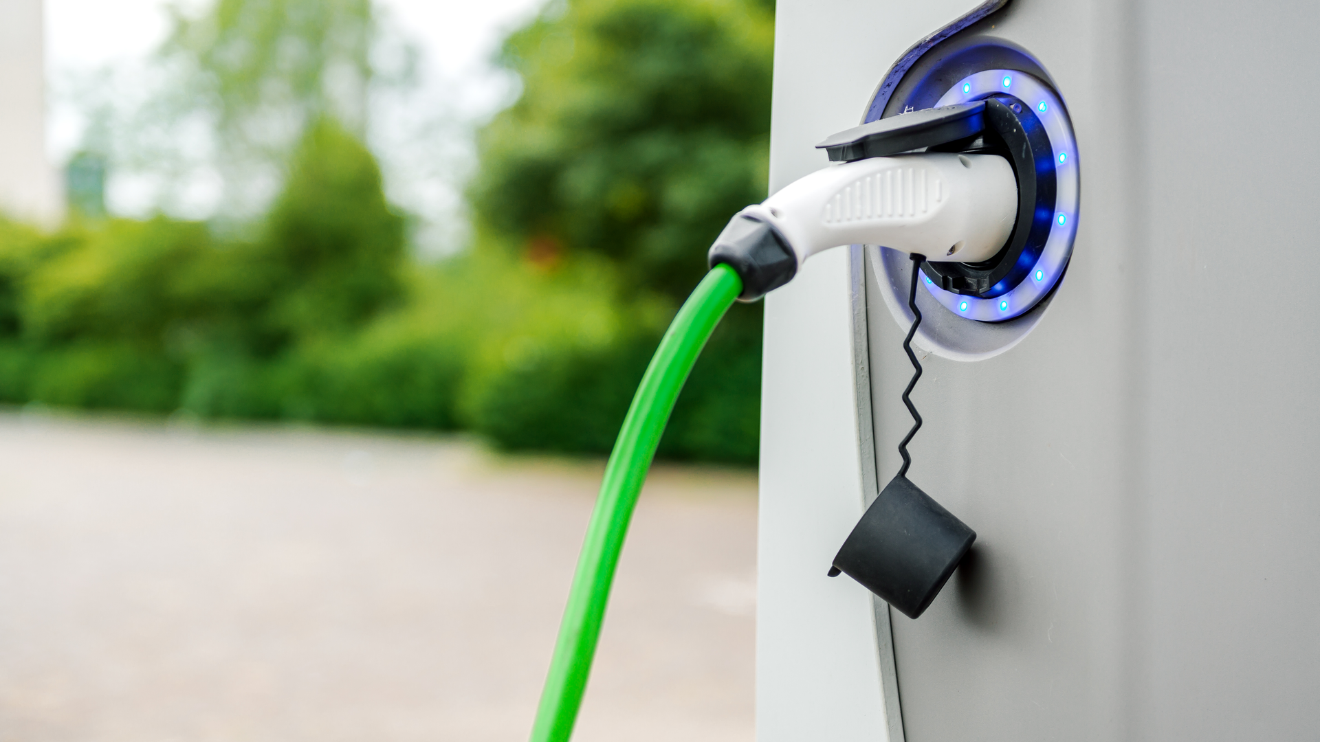 Amoklv Dreamstime 612d440a8384a