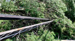 Over the next three years, Duke Energy Florida will invest more than US$5 billion to enhance reliability with fewer outages and shorter restoration times.