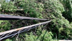 Over the next three years, Duke Energy Florida will invest more than US$5 billion to enhance reliability with fewer outages and shorter restoration times. Over the next three years, Duke Energy Florida will invest more than US$5 billion to enhance reliability with fewer outages and shorter restoration times.