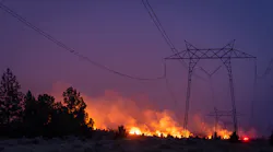 Wildfire