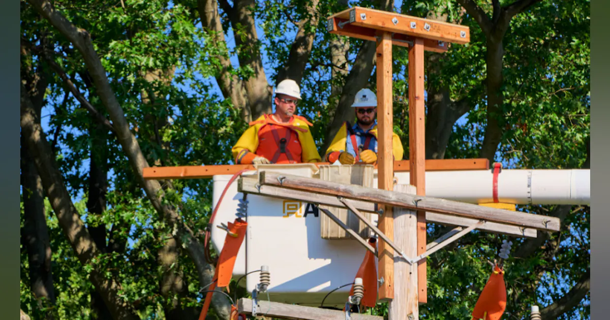 The Illuminating Company Completes Work To Protect Young Eagles Near The illuminating company completes work to protect young eagles near