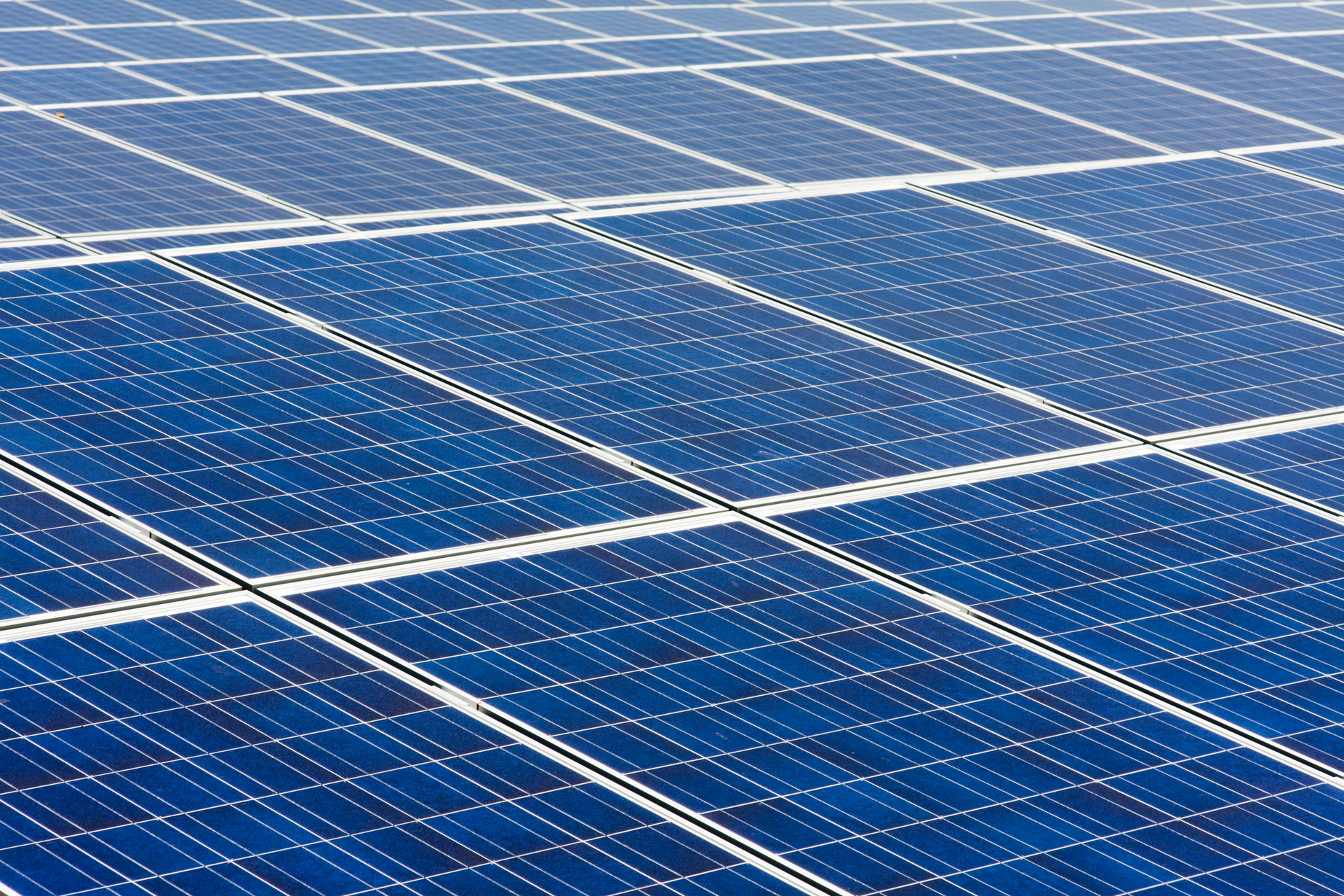 Alexander Manykin Dreamstime 611d31eeaaa49