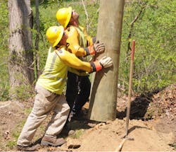Linemen have installed thousands of new, stronger poles and thicker “tree wire” throughout the utility’s service territory. Linemen have installed thousands of new, stronger poles and thicker “tree wire” throughout the utility’s service territory.
