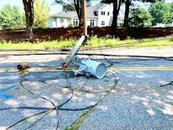 Following the storm, clearer rights of way (ROWs) from cycle-based vegetation management allowed workers far easier access and reduced the time needed to locate problems and make repairs. Following the storm, clearer rights of way (ROWs) from cycle-based vegetation management allowed workers far easier access and reduced the time needed to locate problems and make repairs.