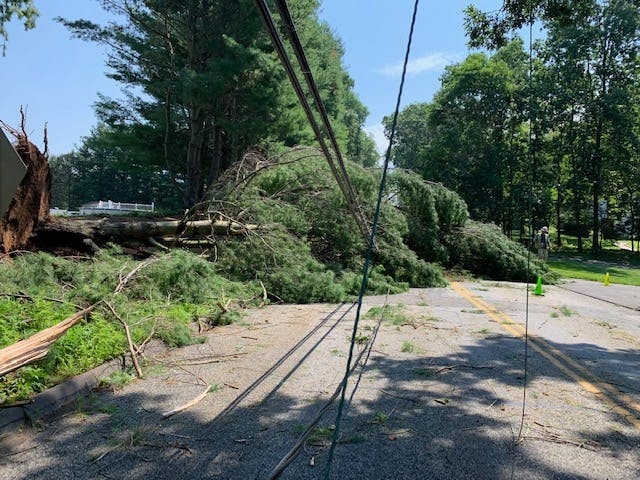 Following the storm, clearer rights of way (ROWs) from cycle-based vegetation management allowed workers far easier access and reduced the time needed to locate problems and make repairs.