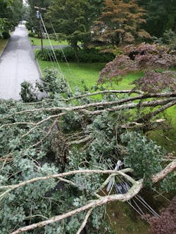 For example, in 2019, the company started installing TripSaver devices on power lines to help limit the frequency and duration of service interruptions. For example, in 2019, the company started installing TripSaver devices on power lines to help limit the frequency and duration of service interruptions.