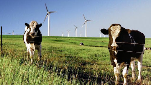 Erin Herbold1 613b6222ccb25