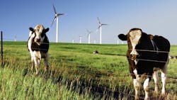 Erin Herbold1 613b6222ccb25 Erin Herbold1 613b6222ccb25