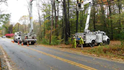 Fallen trees are the leading cause of electrical outages during storms. Fallen trees are the leading cause of electrical outages during storms.