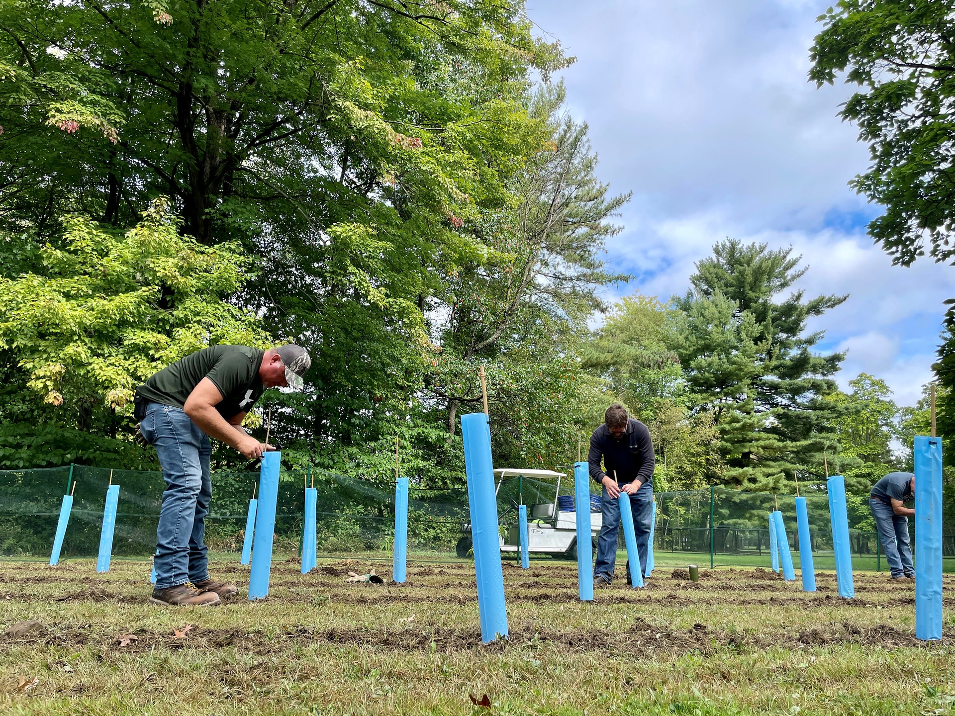 51507631433 Fa726c8493 K 1 615338b692a77