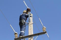 A lineman in Iran installs conductor covers on all three phases to prevent phase-to-ground contacts by wildlife climbing, perching, or roosting on the electric distribution system. A lineman in Iran installs conductor covers on all three phases to prevent phase-to-ground contacts by wildlife climbing, perching, or roosting on the electric distribution system.