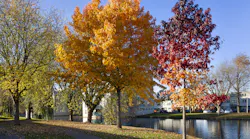 Dreamstime Xl 132236514