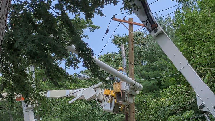 The utility has a team of certified arborists who oversee and outsource vegetation management work to contractors, who perform a four-year trimming program.
