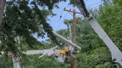 The utility has a team of certified arborists who oversee and outsource vegetation management work to contractors, who perform a four-year trimming program.