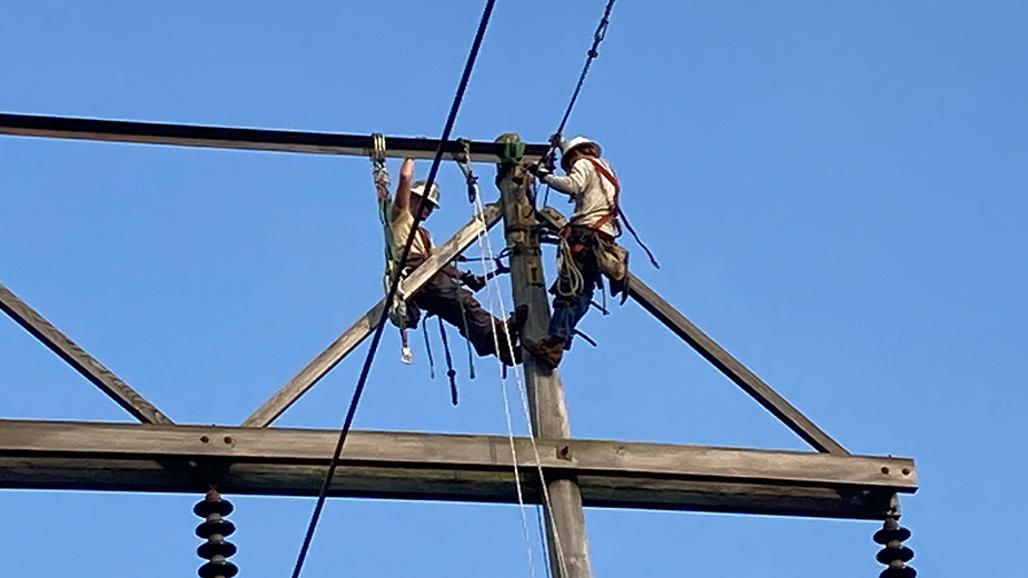 Wpp Wire Pull Workers 616ef99a45a34