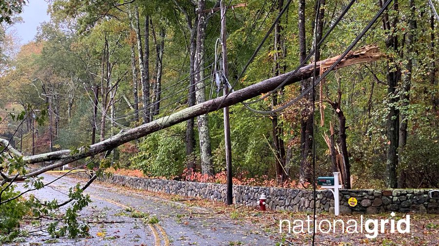 Easset Upload File22981 212087 E 617c0570685bc