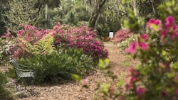 Bok Tower1 Mid 6172e108adbb5 Bok Tower1 Mid 6172e108adbb5