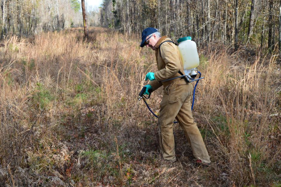 Dsc 0023 6168a7fb5811a