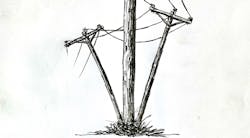 Img 63962 615ddaa77d29a Img 63962 615ddaa77d29a