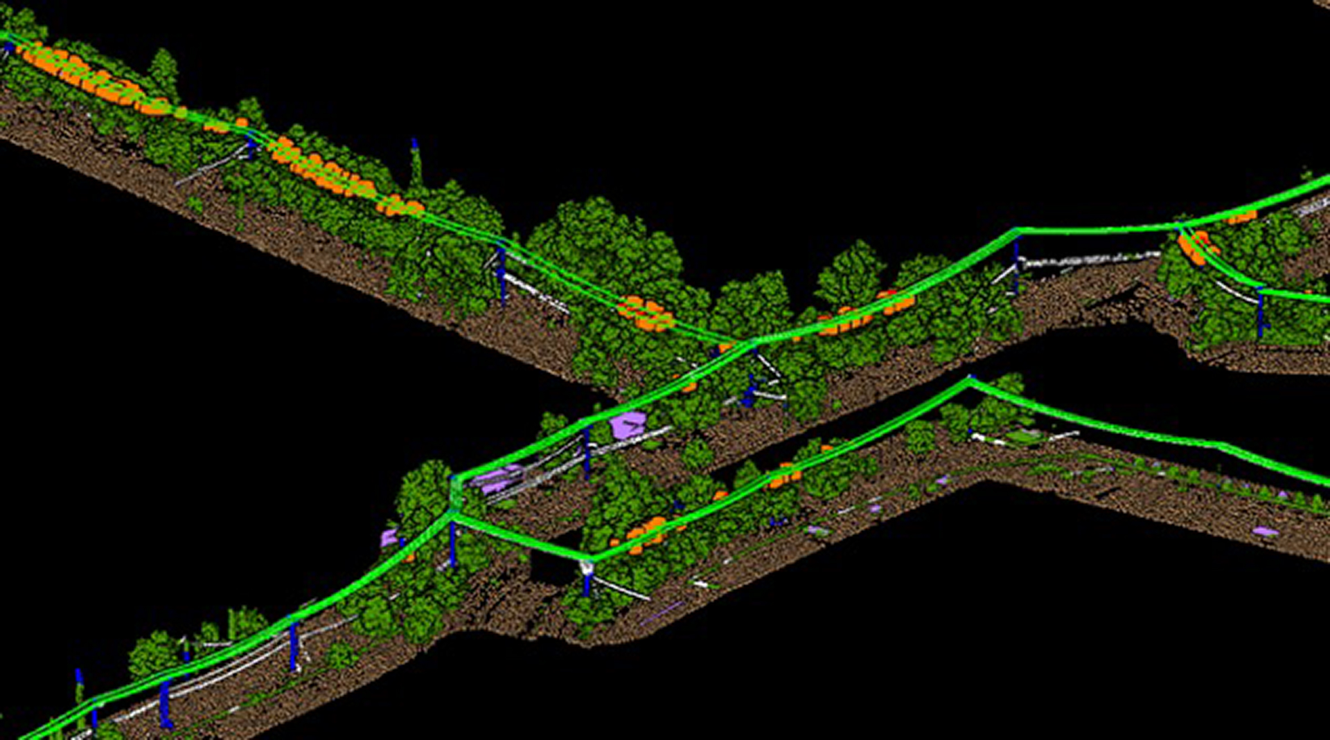 Rapid Reporting 6167063790a17