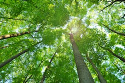 Dreamstime Xl 42907586 617469a0cebf5 Dreamstime Xl 42907586 617469a0cebf5